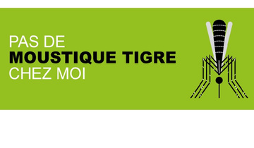 banners_moustique banners_moustique